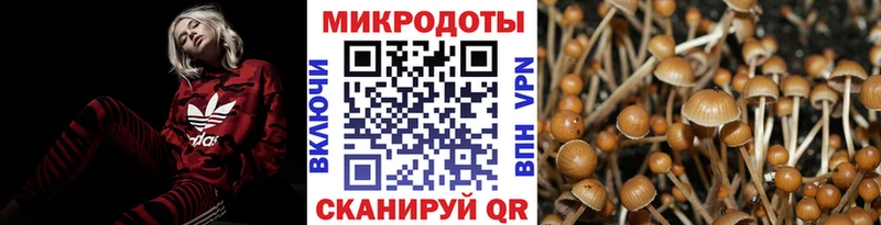 Псилоцибиновые грибы прущие грибы  Купить  Губаха 